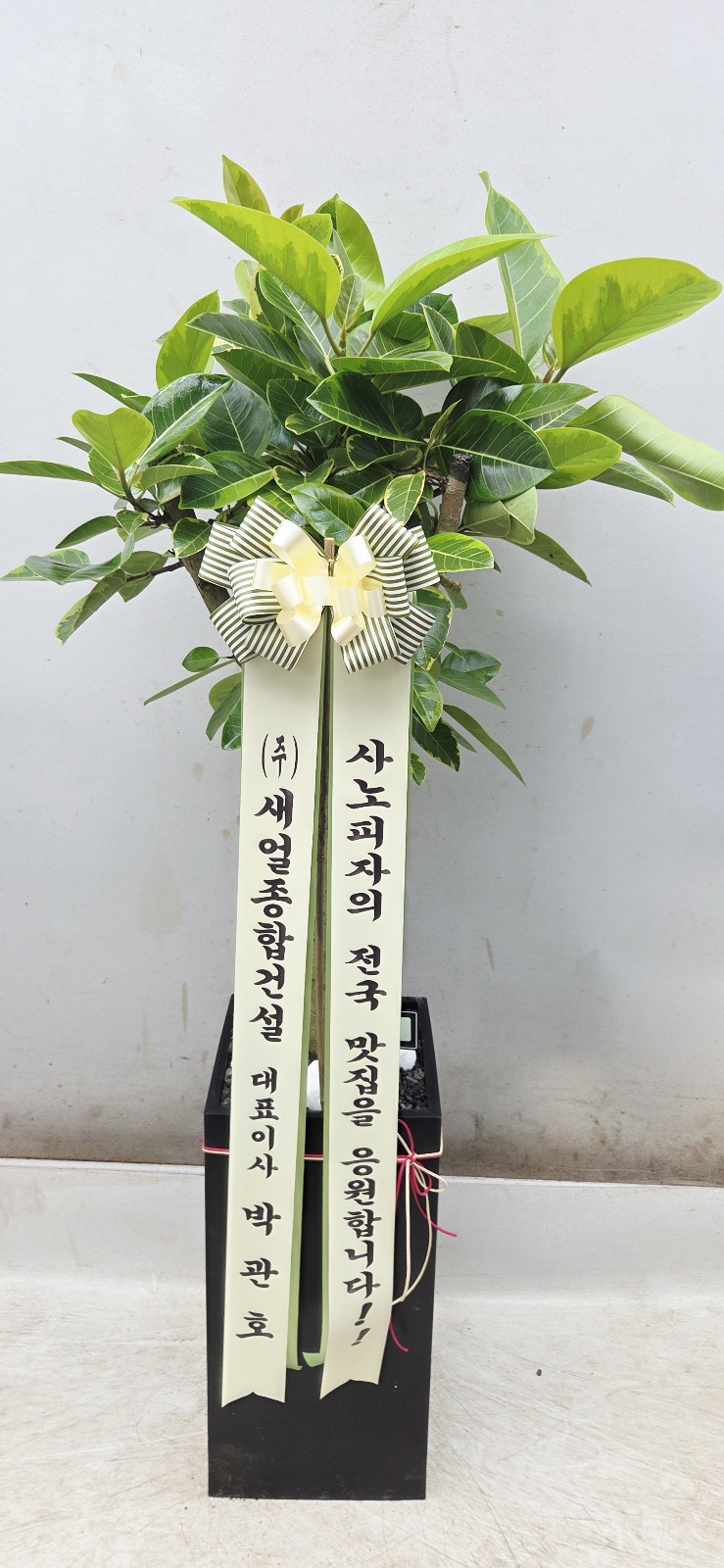 업로드 이미지