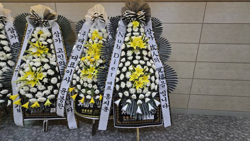 업로드 이미지