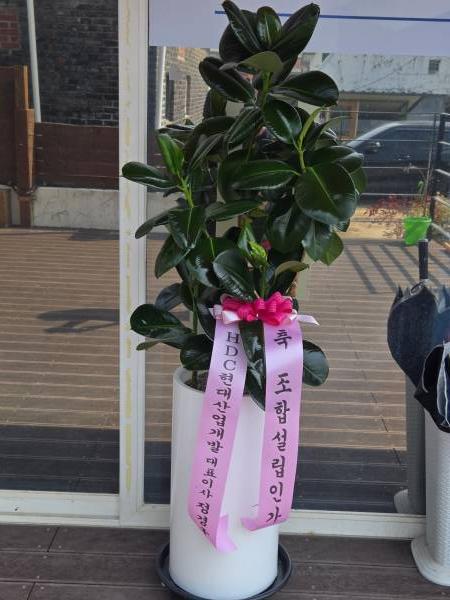 업로드 이미지