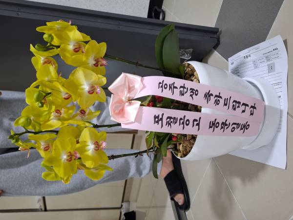 업로드 이미지