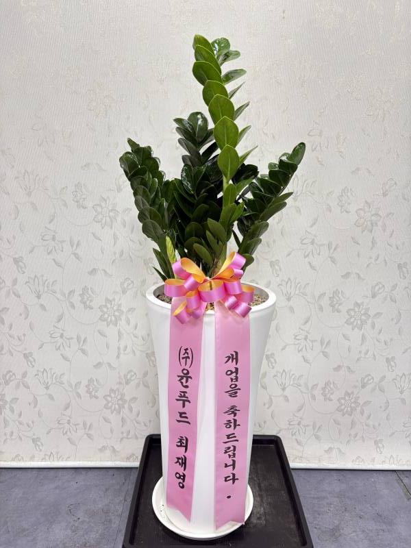 업로드 이미지