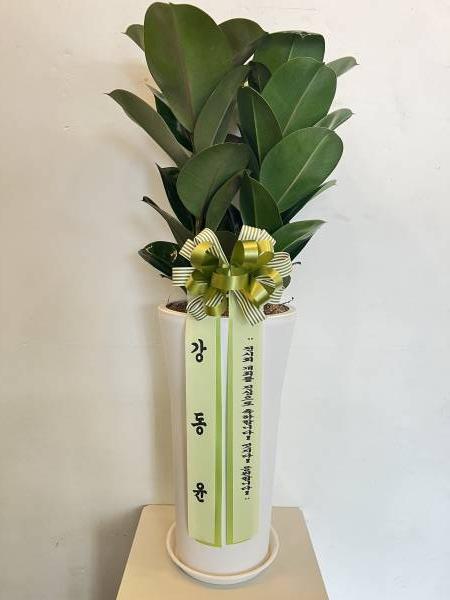업로드 이미지