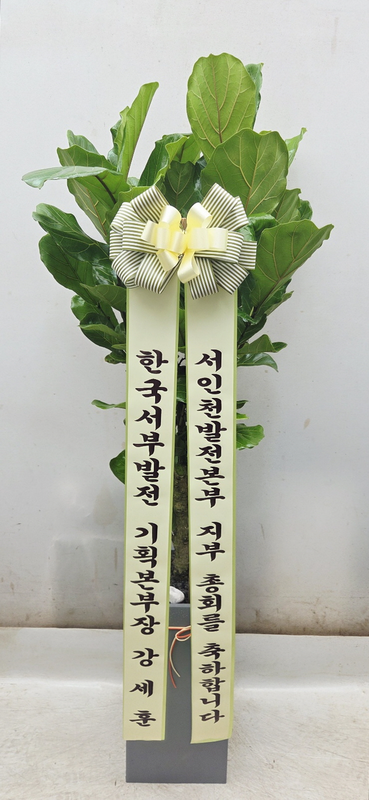 업로드 이미지