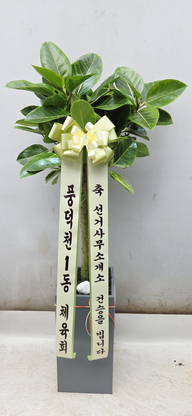 업로드 이미지