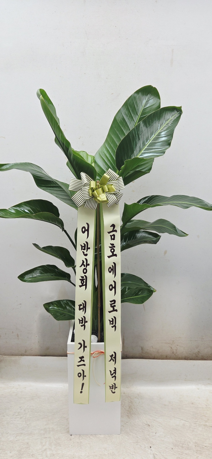 업로드 이미지