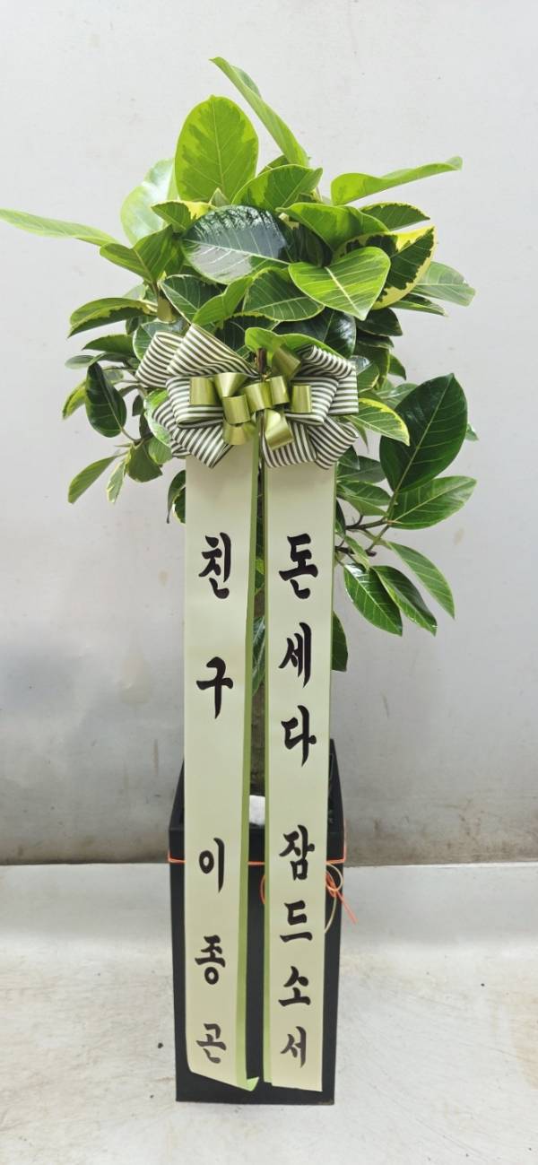 업로드 이미지