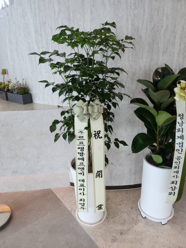 업로드 이미지