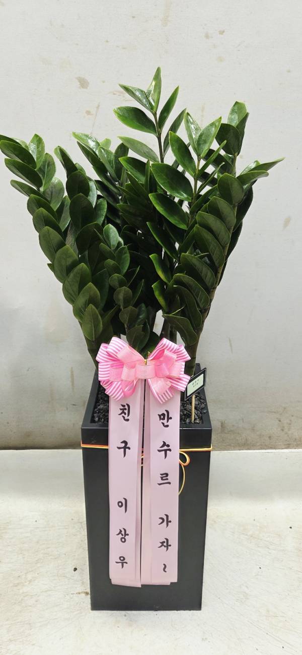업로드 이미지