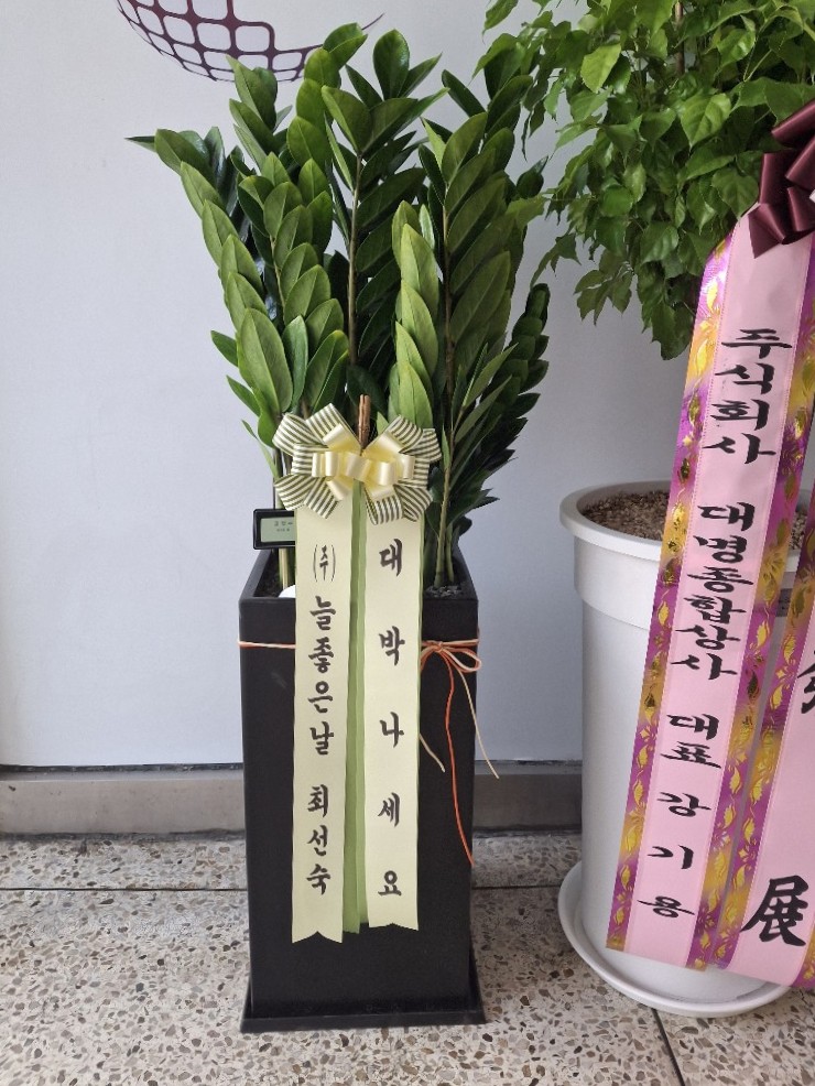업로드 이미지
