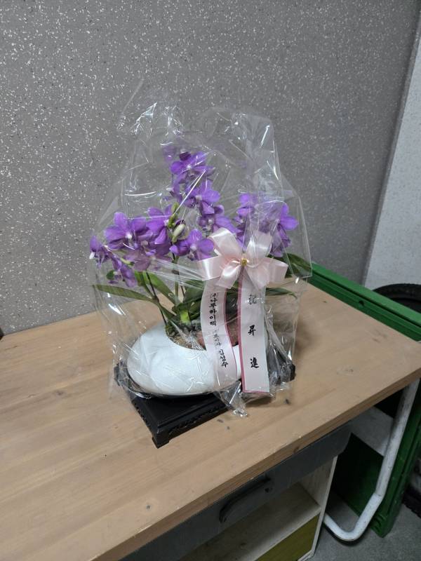 업로드 이미지