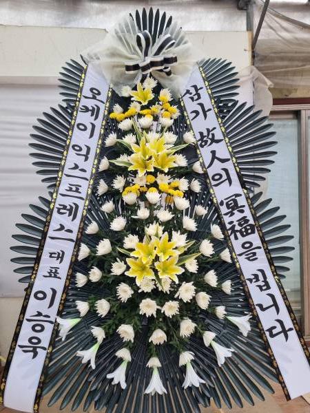 업로드 이미지