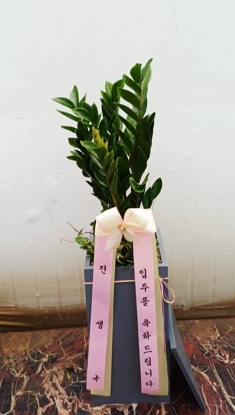 업로드 이미지