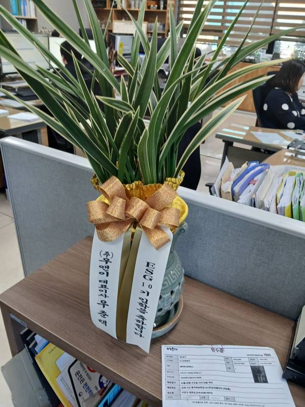 업로드 이미지