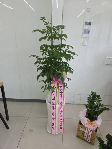 업로드 이미지
