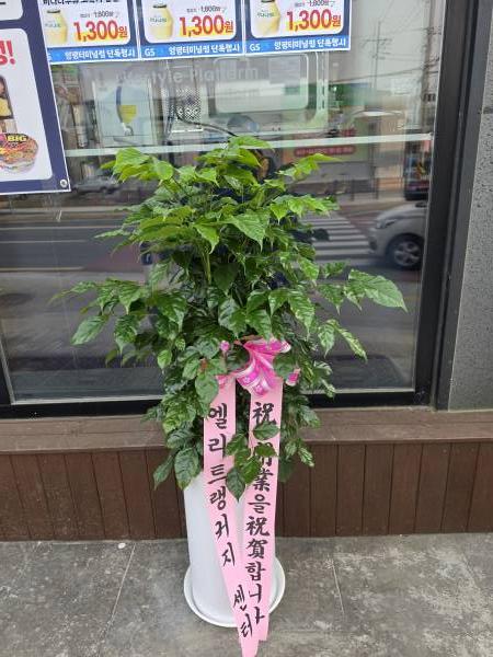 업로드 이미지