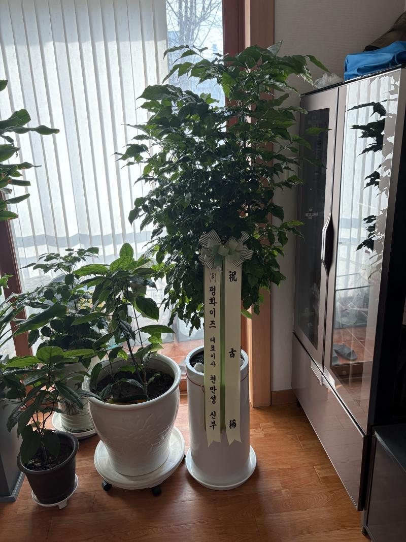 업로드 이미지