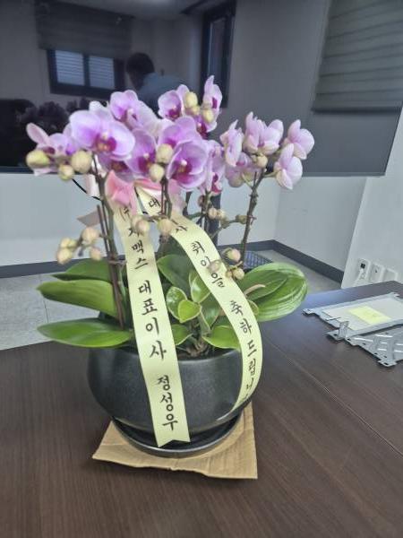 업로드 이미지