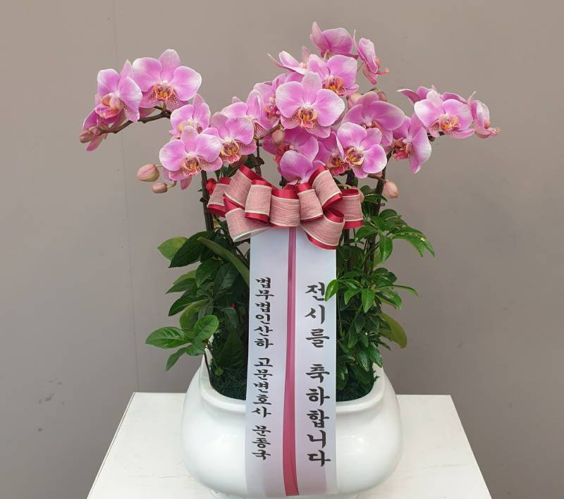 업로드 이미지