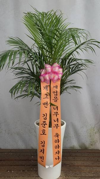 업로드 이미지
