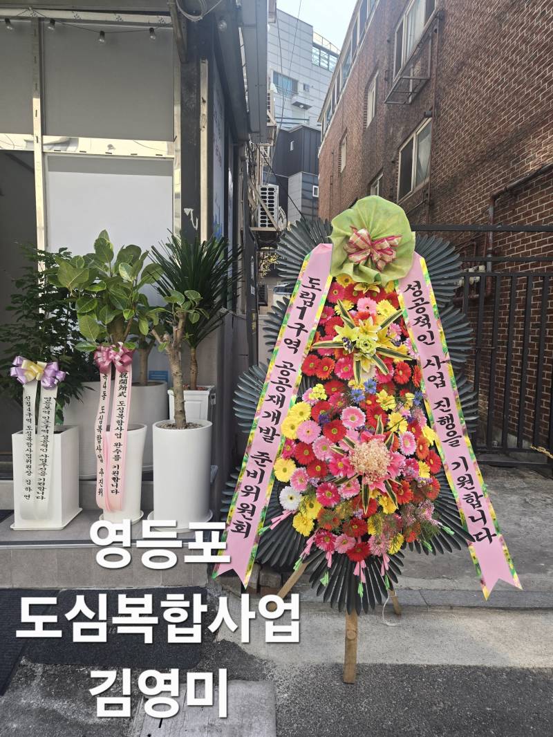 업로드 이미지