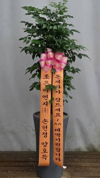 업로드 이미지