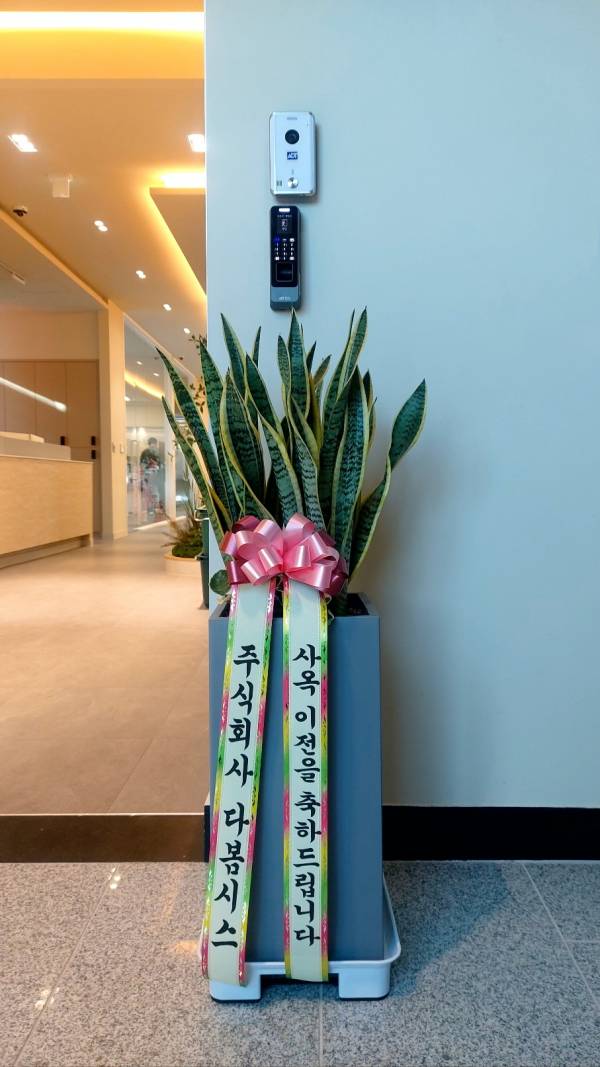 업로드 이미지