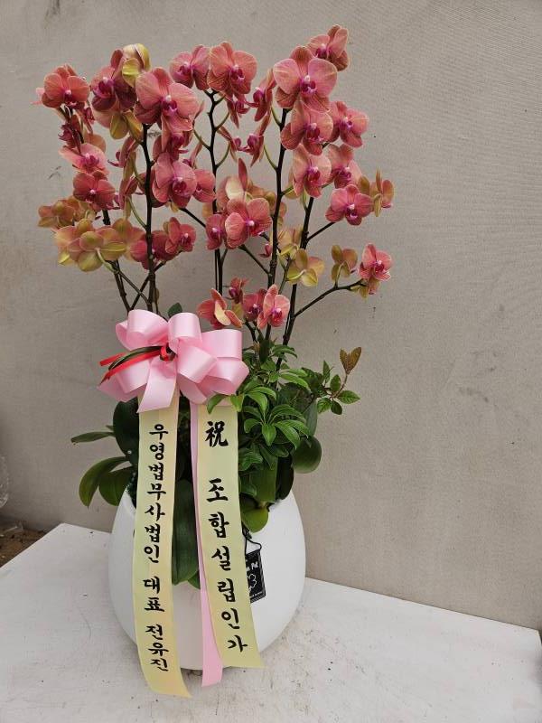 업로드 이미지