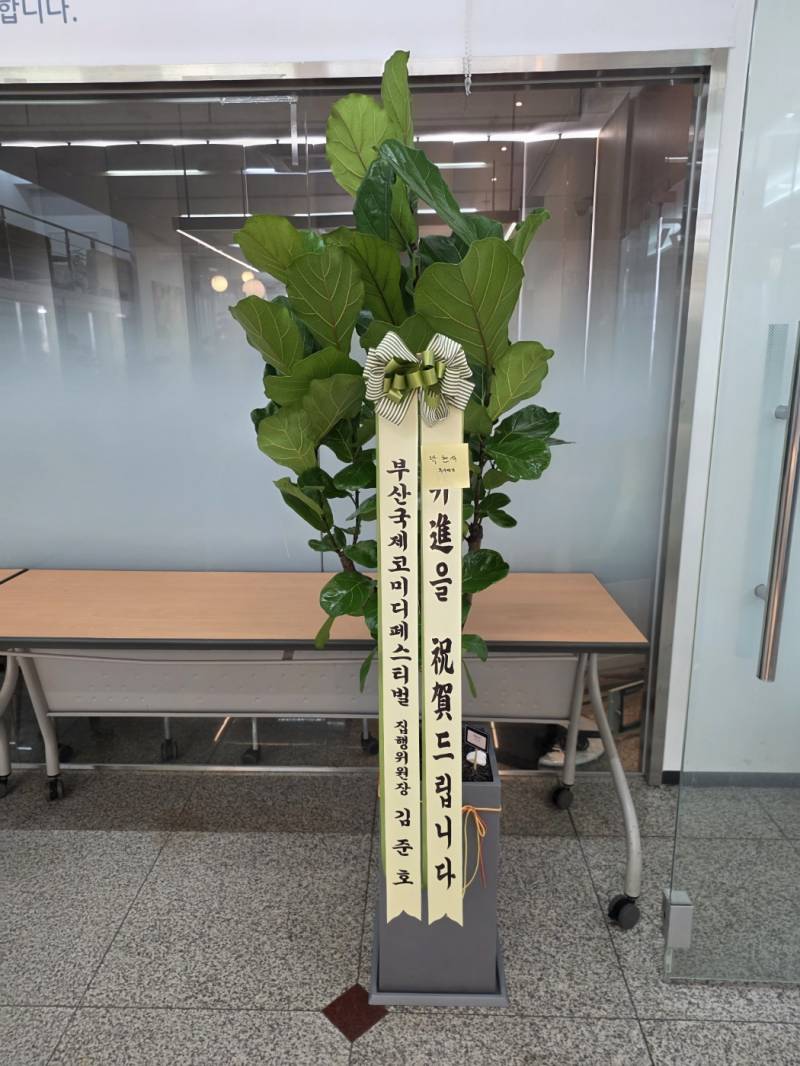 업로드 이미지