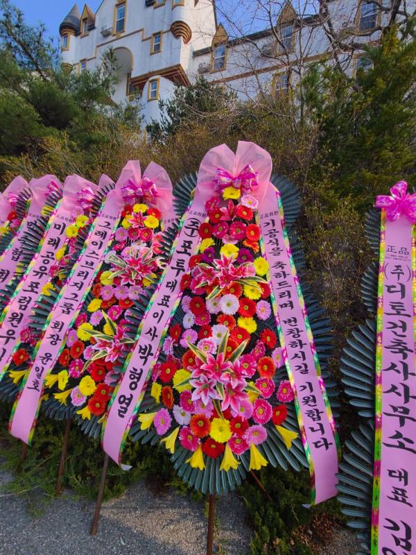 업로드 이미지