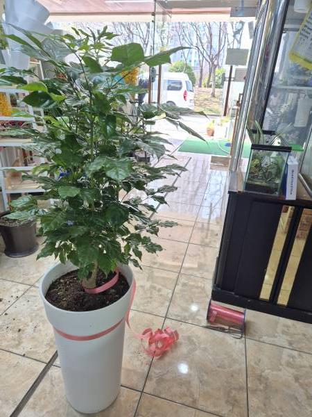 업로드 이미지