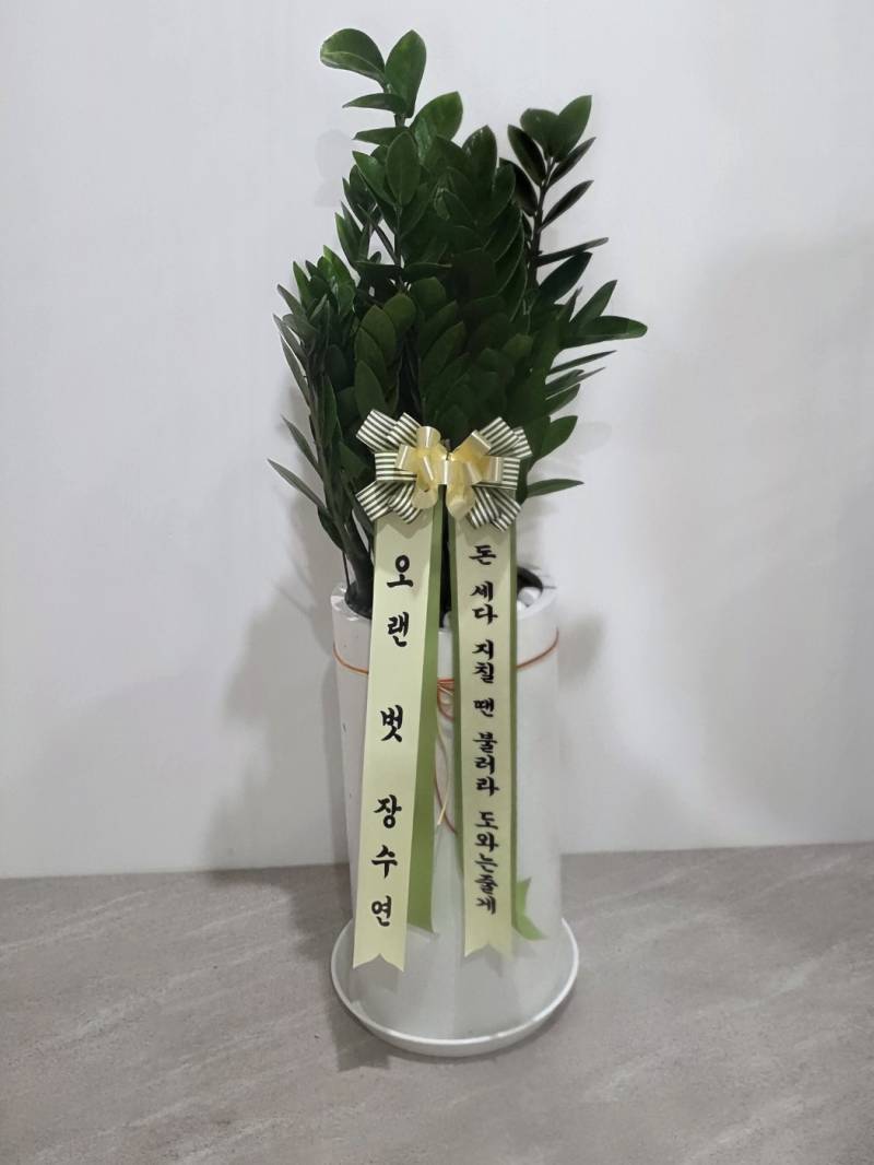 업로드 이미지