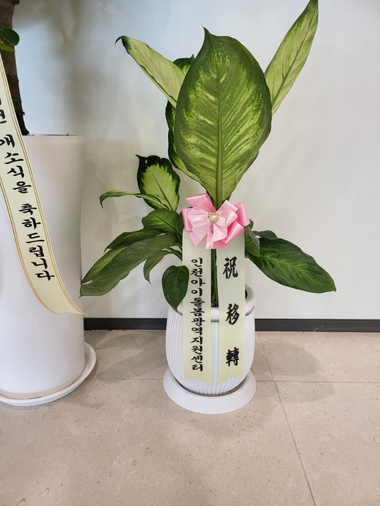 업로드 이미지