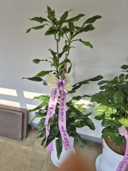 업로드 이미지