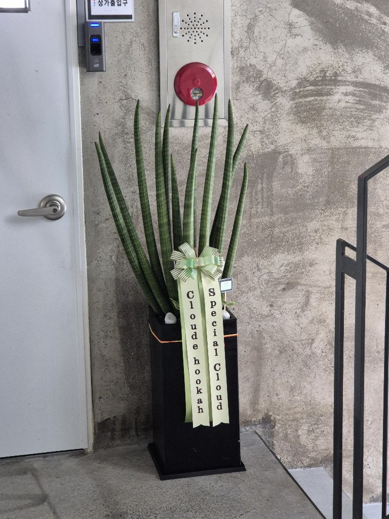 업로드 이미지