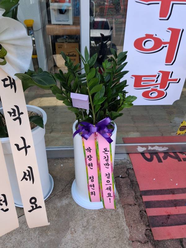 업로드 이미지