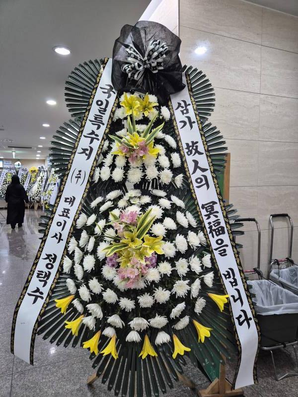 업로드 이미지