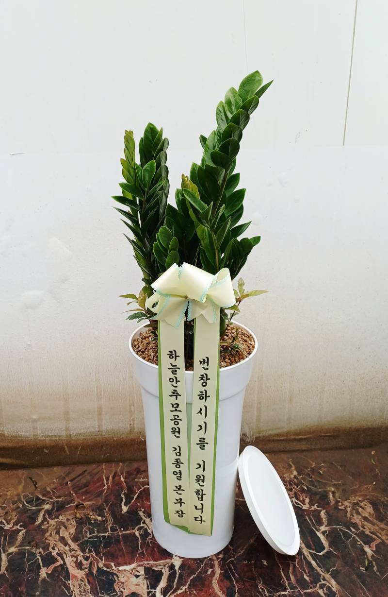 업로드 이미지