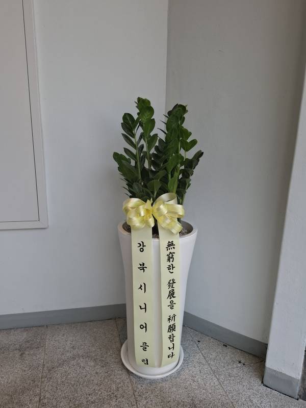 업로드 이미지