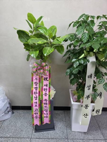 업로드 이미지