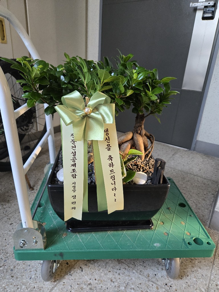 업로드 이미지