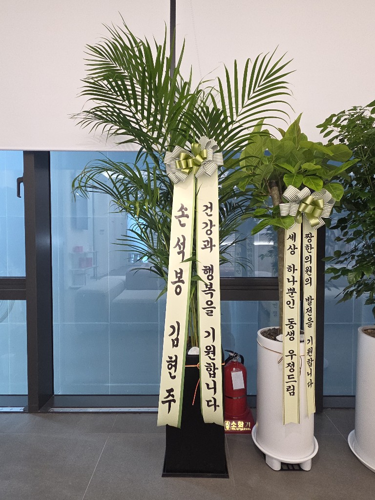업로드 이미지