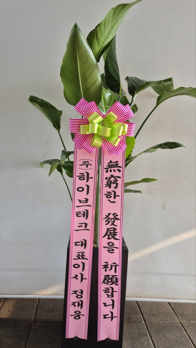 업로드 이미지