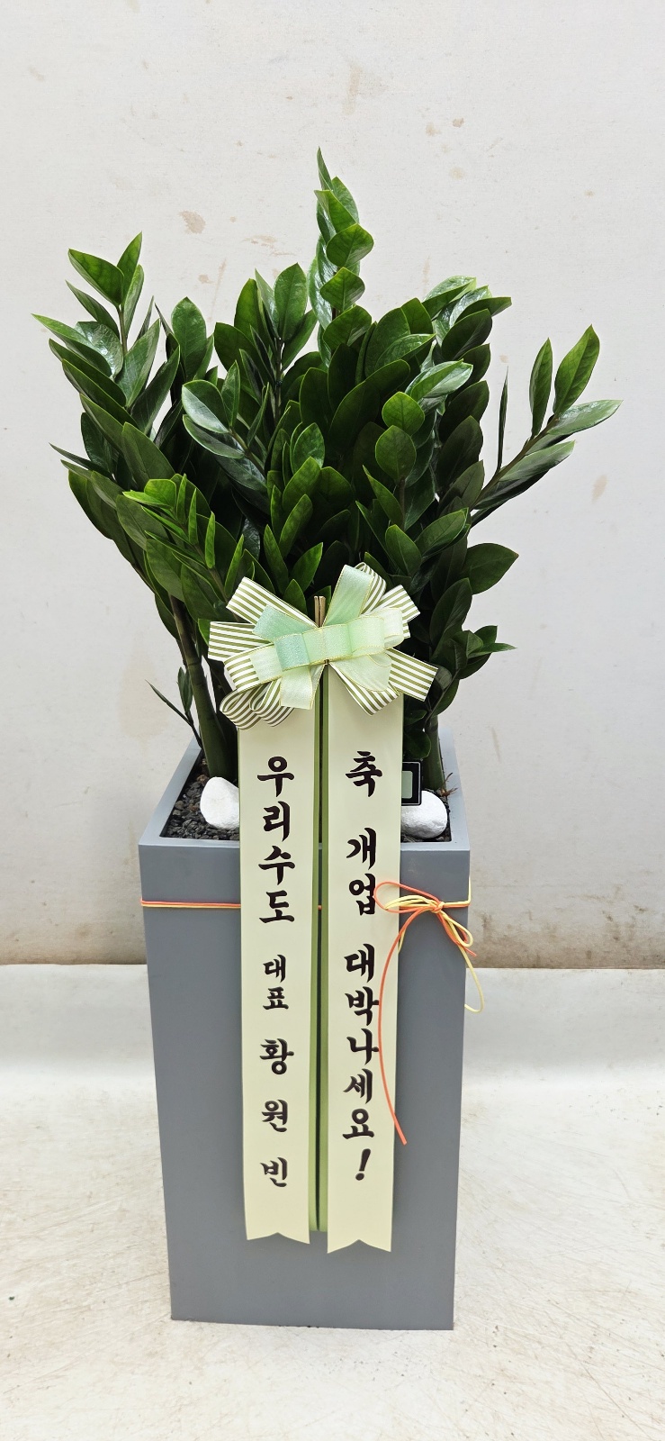 업로드 이미지