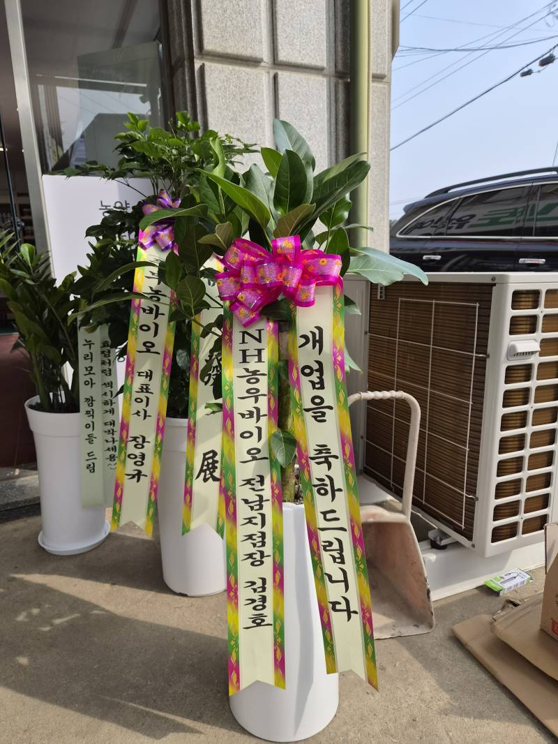 업로드 이미지