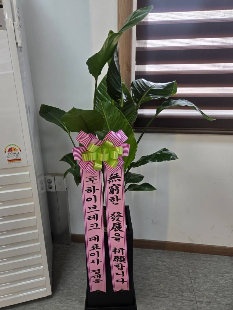 업로드 이미지