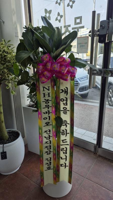 업로드 이미지