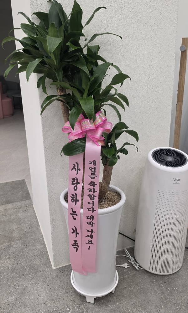 업로드 이미지