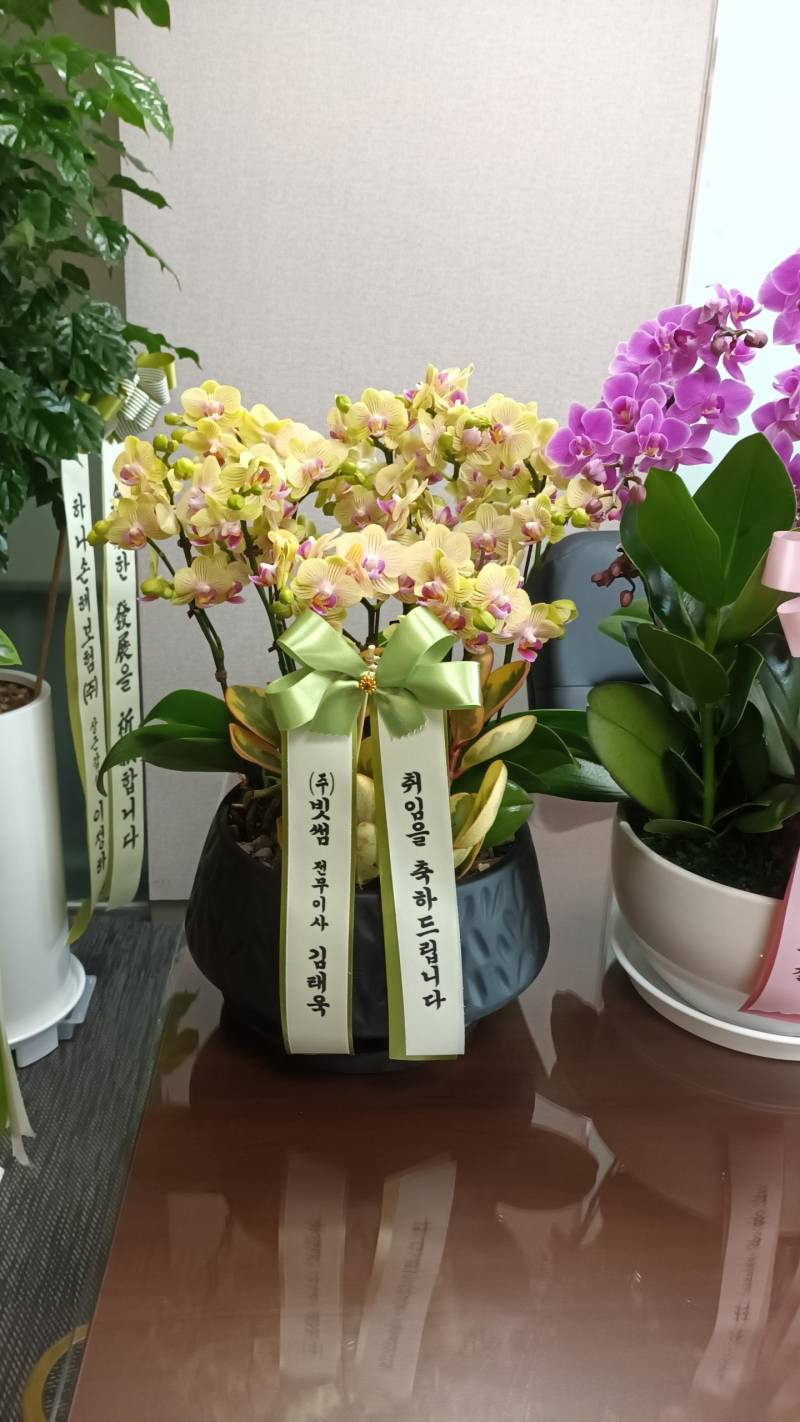 업로드 이미지