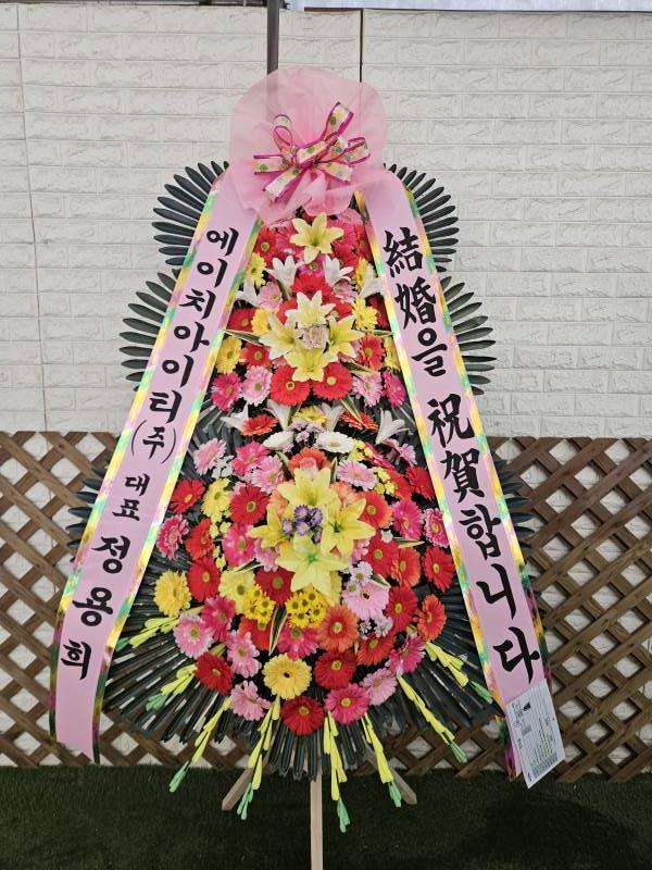 업로드 이미지