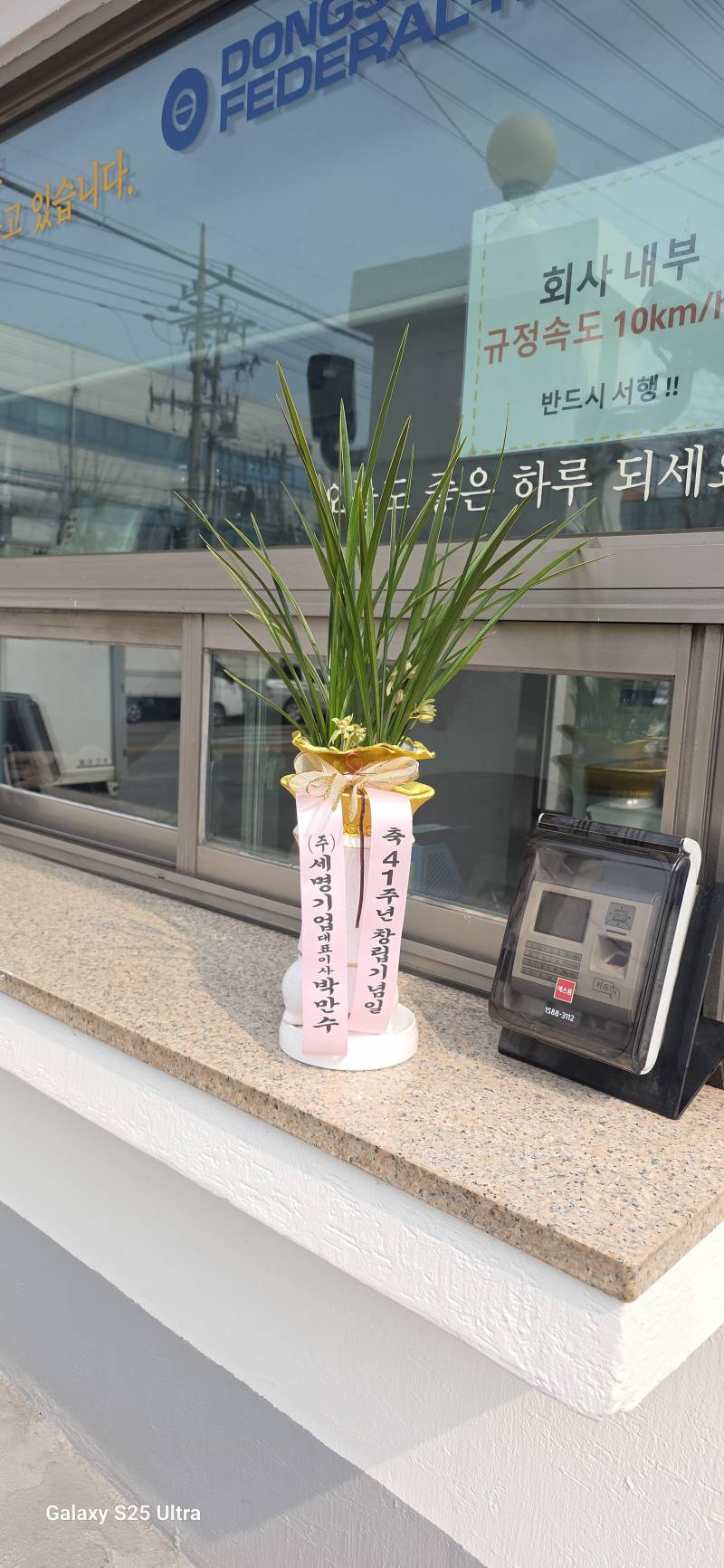 업로드 이미지